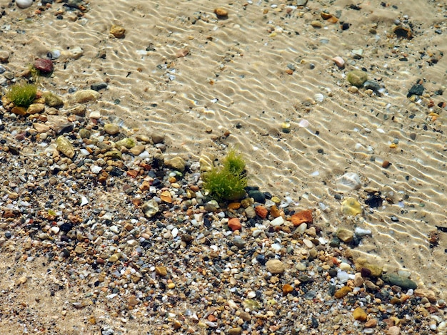 Sandiger Meeresboden seichtes Wasser