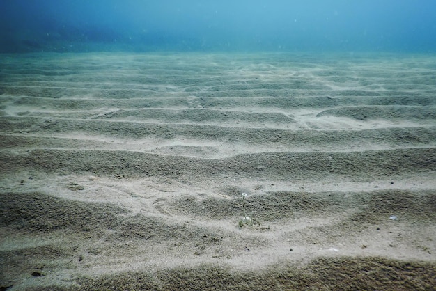 Sandiger Meeresboden Unterwasserhintergrund