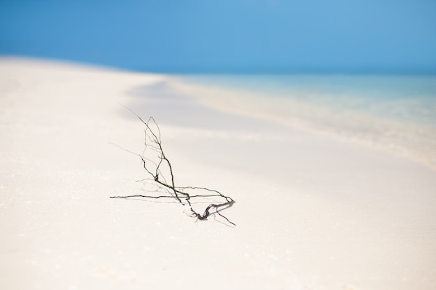 Sandiger tropischer Meeresstrand für Sommerferien und Urlaubskonzept für Tourismus.