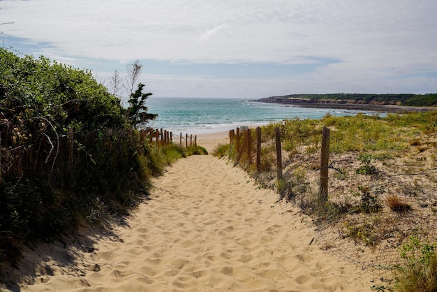 Sandküstenzugang zum Meeresstrand im Atlantik in Frankreich