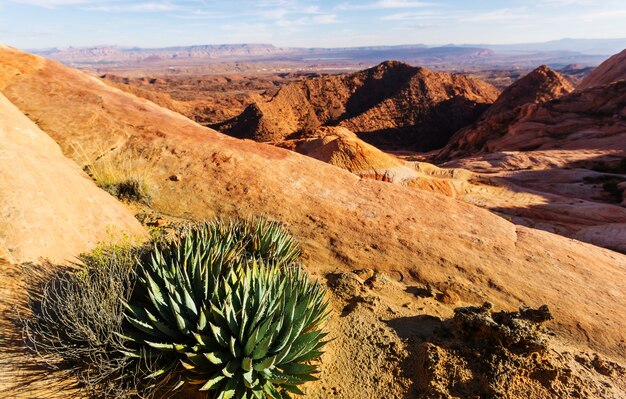 Sandsteinformationen in Utah, USA. Yant-Wohnungen