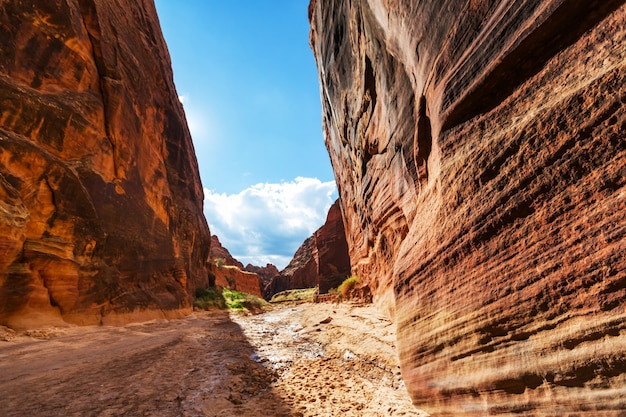 Sandsteinformationen in Utah, USA