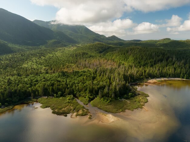 Sandstrand auf dem See mit kanadischem Naturhintergrund der grünen Bäume