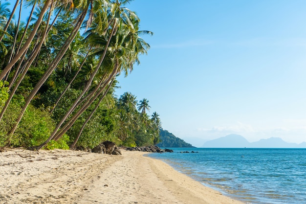 Sandstrand einer verlassenen tropischen Insel des Paradieses. Palmen überhängen am Strand. Weißer Sand. Blaues Wasser des Ozeans. Ruh dich von Menschen aus