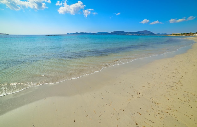 Sandstrand in Alghero Sardinien