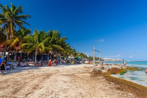 Sandstrand mit Algen an einem sonnigen Tag mit Hotels in Playa del Carmen Mexiko