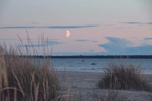 Foto sandstrand mit dünen und dem mond am himmel