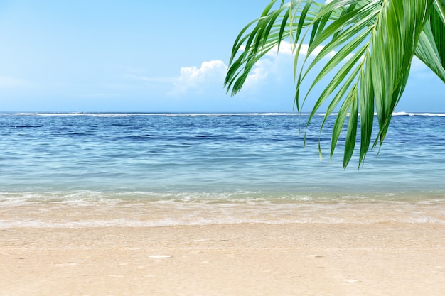 Sandstrand mit grünem Palmblatt und blauem Meerblick