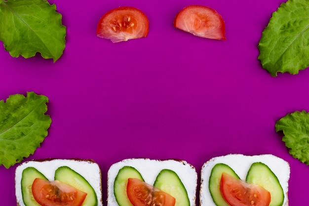 Sanduíche de pão com tomate e pepino em fundo roxo.