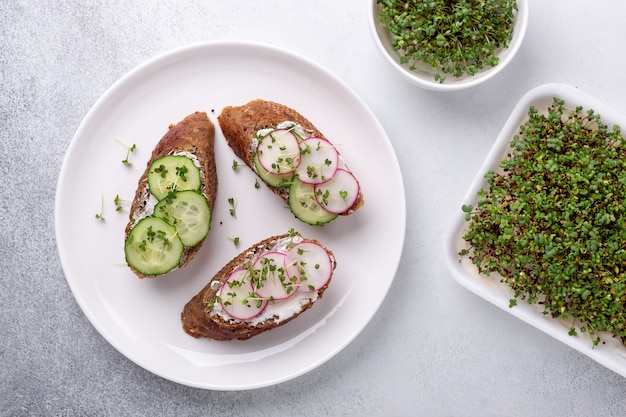 Sanduíches saudáveis com micro grãos verdes de pão, ricota, pepino, rabanete e mostarda. Micro verduras na tigela. Vista do topo. Lanche saudável