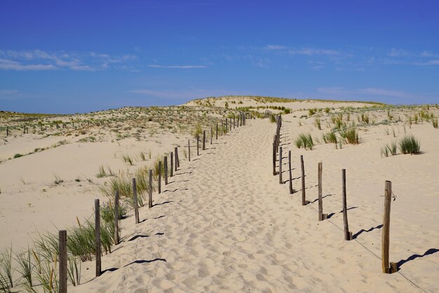 Sandweg Zugang zum Strand Meer mit Zaun im Sommer