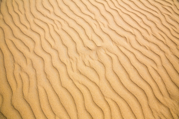 Sandwellen, Strand an der Küste von Ceylon. Sri Lanka Sand, Indischer Ozean
