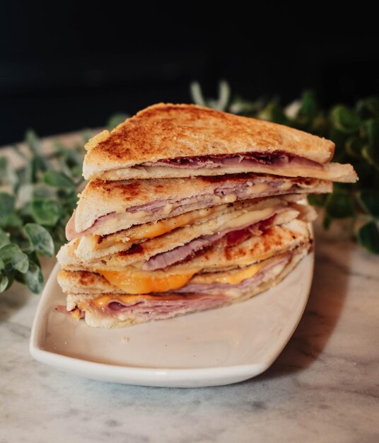 Sándwich caliente de jamón y queso tostado con mantequilla en pan