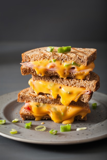 Sandwich de jamón y queso a la parrilla