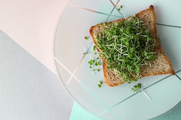 Sándwich con jugosas verduras para el desayuno vegetariano sobre un fondo de color