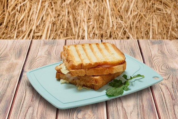 Sándwich de queso a la parrilla casero para el desayuno en tablas de madera