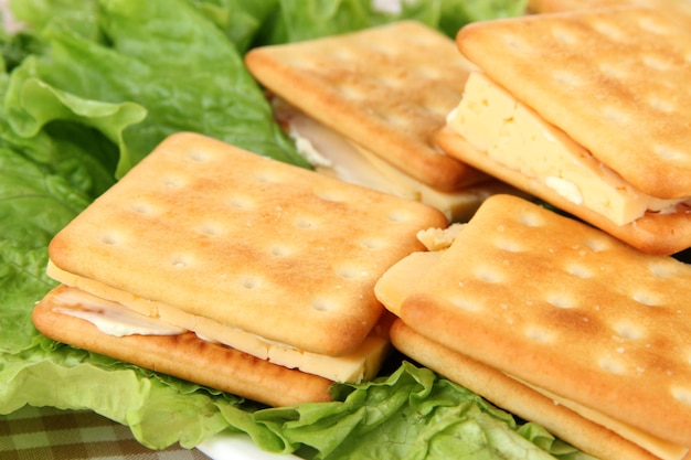 Sandwichcracker mit Käse kleiden sich