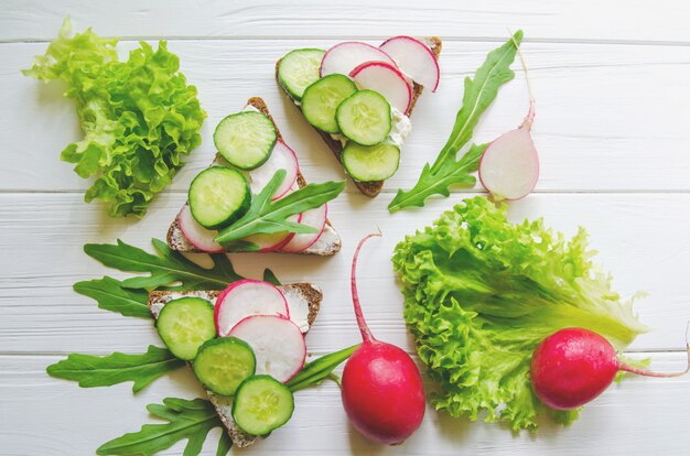 Sandwiches de pan integral de trigo con pepinos y rábanos con hojas de ensalada verde fresca