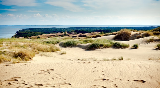 Sandy grey dunes in litauen