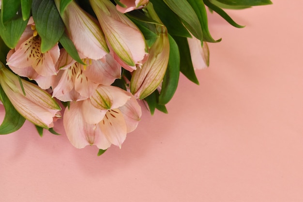 Sanfte Blumen auf einer rosa Hintergrundnahaufnahme mit Platz für Text.