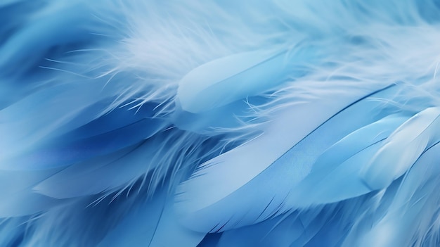 Foto sanfte flüstern weiches fokus vogelfedern hintergrund in einem ruhigen blauen schatten
