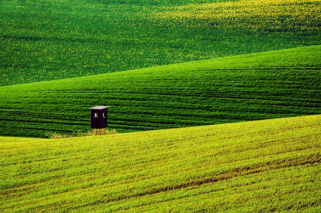 Sanfte grüne Hügel mit Feldern und hölzerner Jagdhütte, geeignet für Hintergründe oder Tapeten, natürliche saisonale Landschaft