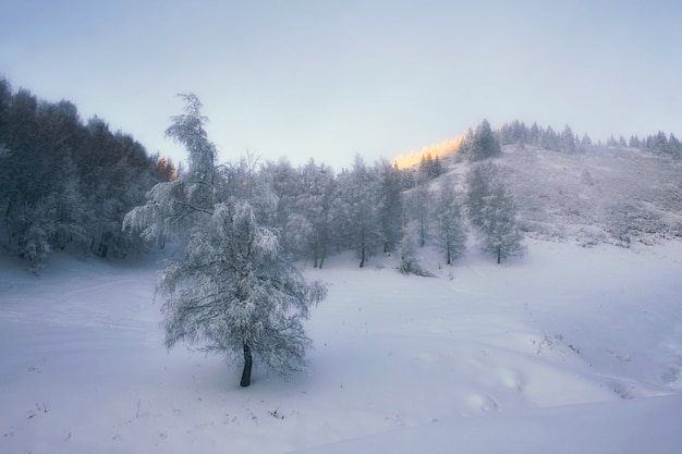 Foto sanfte morgen-winter-gebirgslandschaft in den bergen mit aufgehender sonne