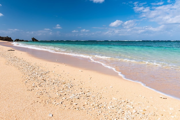 Foto sanfte türkisfarbene meereswelle am sonnigen tag des korallensandstrandes