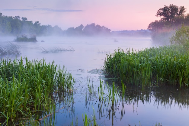 Sanfter nebliger Morgen in der Nähe des Flusses