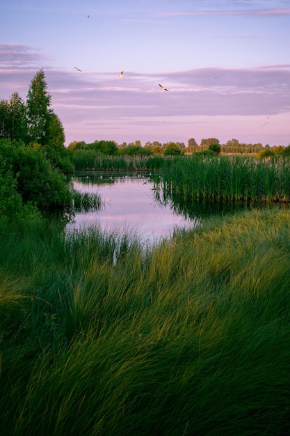 Sanfter Sonnenaufgang über dem See im Sommer