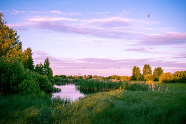 Sanfter Sonnenaufgang über dem See im Sommer