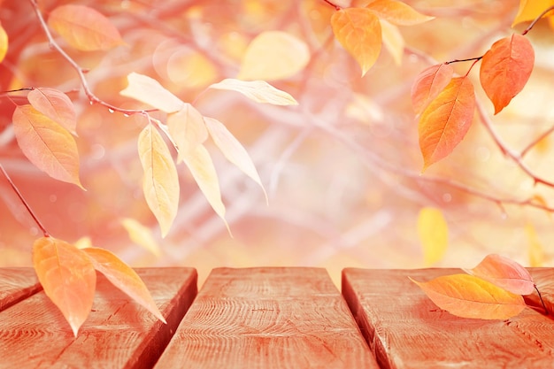 Sanfter zarter Herbst natürlicher Hintergrund Rosa und gelbe Blätter im Herbstwald