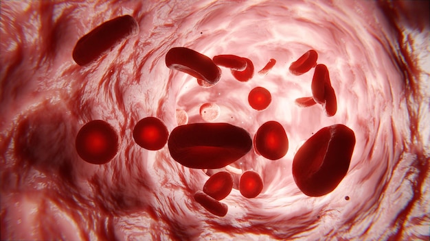 Sangre en las venas vasos sanguíneos glóbulos blancos y plaquetas Análisis de sangre saludables 3d render