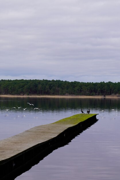 Sanguinet See Holzponton in Frankreich landet Reisen und Urlaub