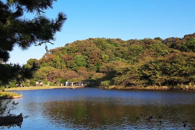 Sankeien-Gärten in Yokohama, Japan