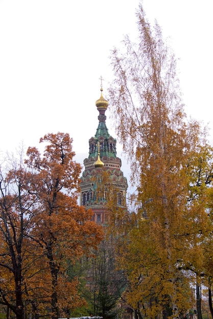 Sankt Petersburg Peterhof