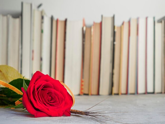 Sant Jordi Rote Rose Blume mit Büchern