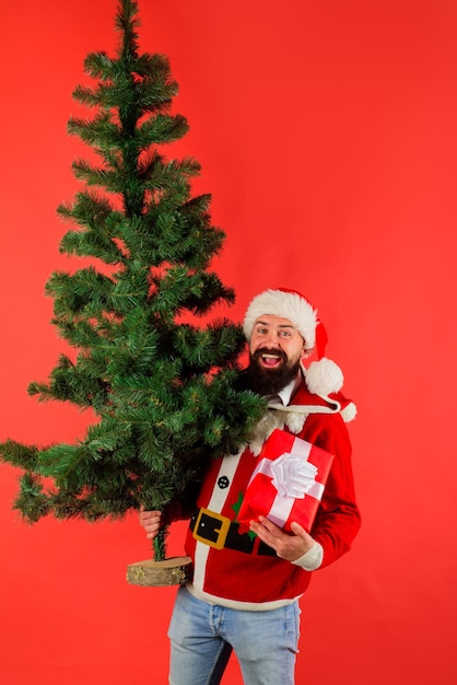 Santa con árbol de navidad concepto de año nuevo diciembre hombre barbudo de santa claus en traje de santa