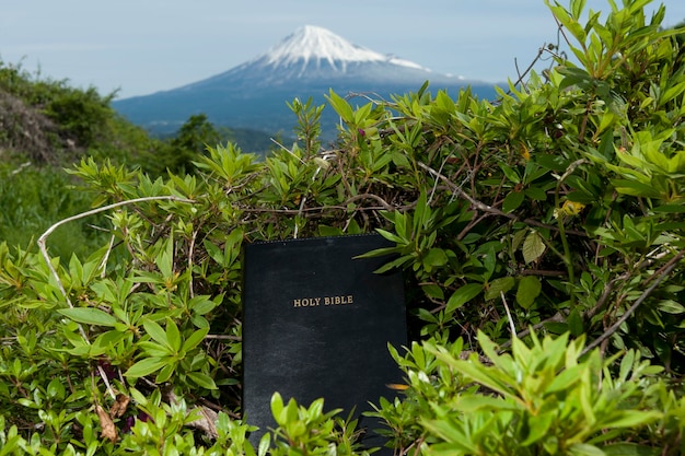 Santa Biblia entre hojas verdes Fondo borroso con el Monte Fuji con pico cubierto de nieve