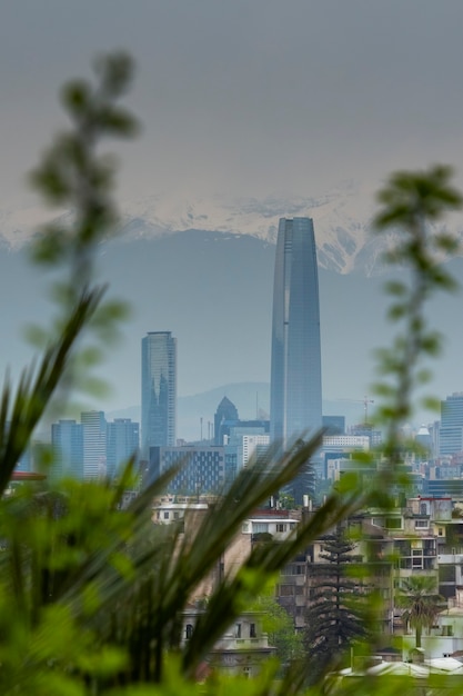 Santiago de chile vista parcial de la ciudad en un día nublado