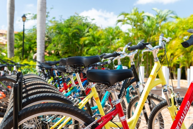 Santo Domingo, República Dominicana, 16 de fevereiro de 2016, assento de bicicleta alugado em fila de estacionamento