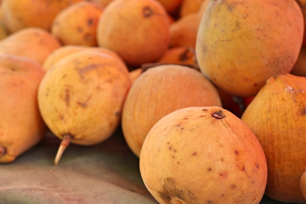 Santol frutas no mercado