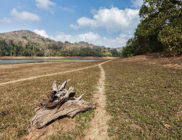 Santuário da vida selvagem Periyar, Índia