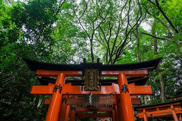 Foto santuário de fushimi inari em kyoto, japão