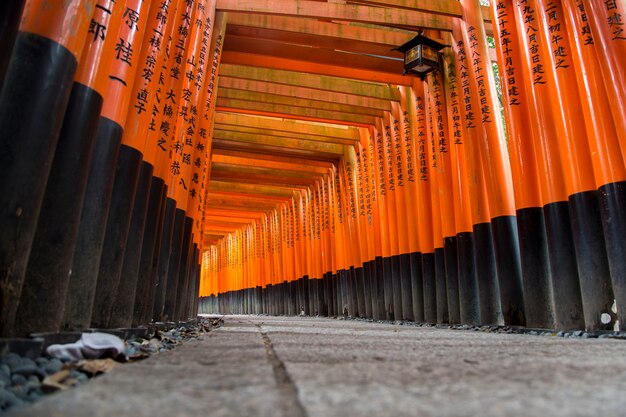 Foto santuário de fushimi inari em kyoto, japão