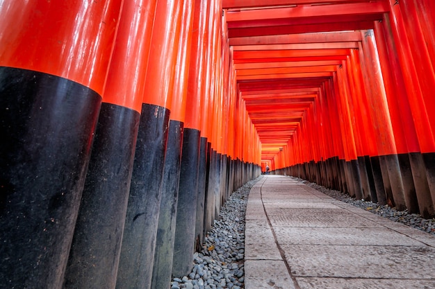 Santuário de Fushimi Inari em Kyoto