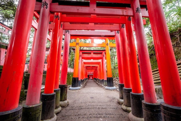 Santuário de Fushimi Inari em Kyoto