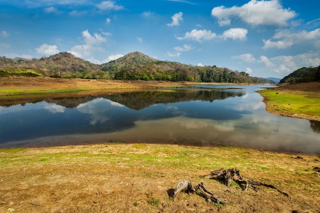 Santuário de vida selvagem de periyar na índia | Foto Premium