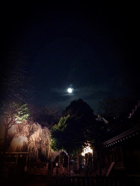 Foto santuário e árvores contra o céu à noite