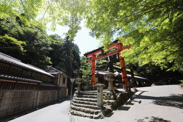 Santuário em japonês kyoto